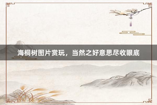 海桐树图片赏玩，当然之好意思尽收眼底