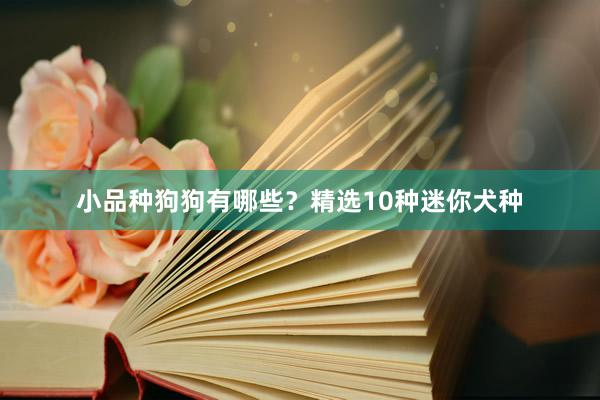 小品种狗狗有哪些？精选10种迷你犬种